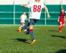 本地年轻女,球员迎战布,里斯班狮吼,星际娱乐,星际娱乐官网