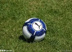 陕西西安足,金联赛省级,草坪争议引,星际娱乐,星际娱乐官网