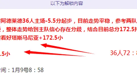 德乙风云对决：达姆施塔特vs纽伦堡，精彩比分即将揭晓！